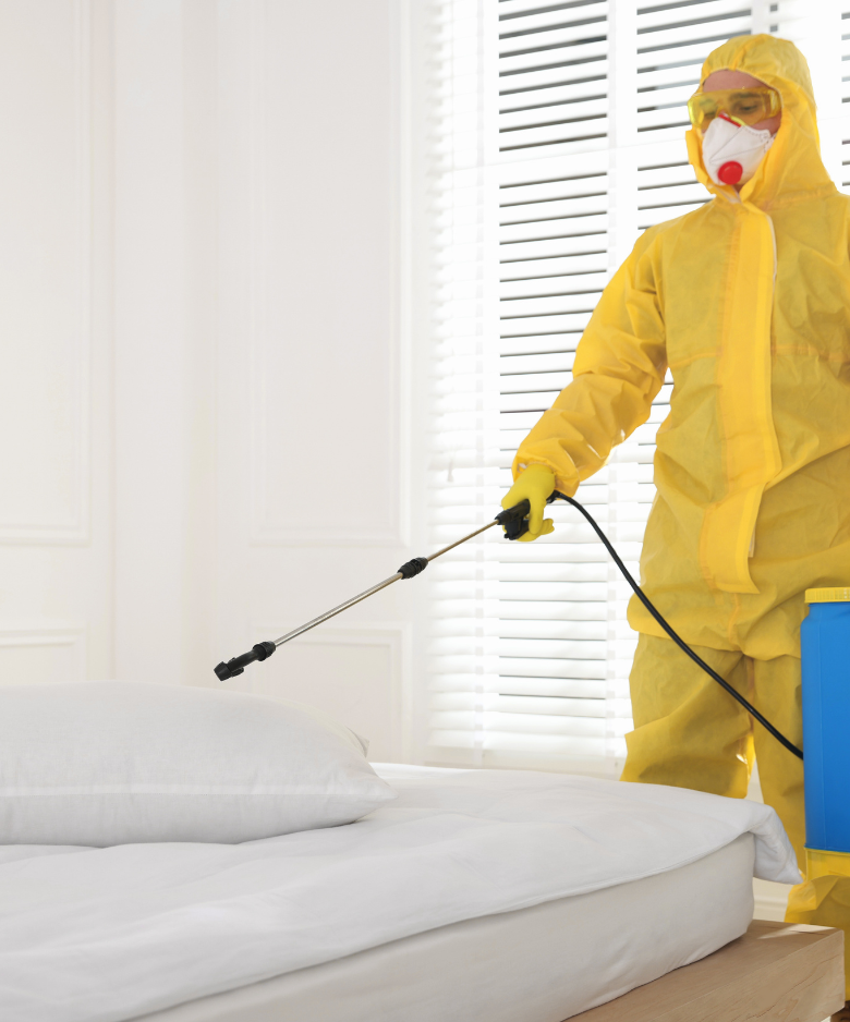 Professional Pest Control Team in McLaren Flat